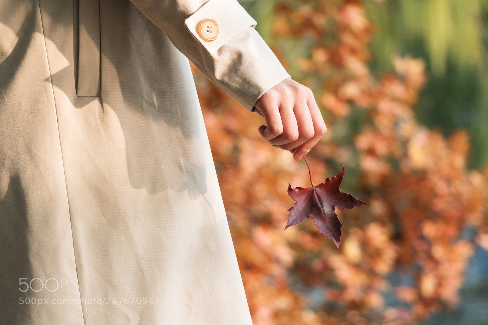 Canon EOS 7D Mark II sample photo. Zooming by sun photography