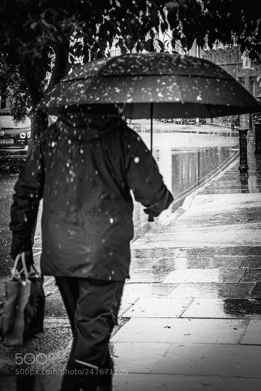Fujifilm X-Pro1 sample photo. Untitled photography