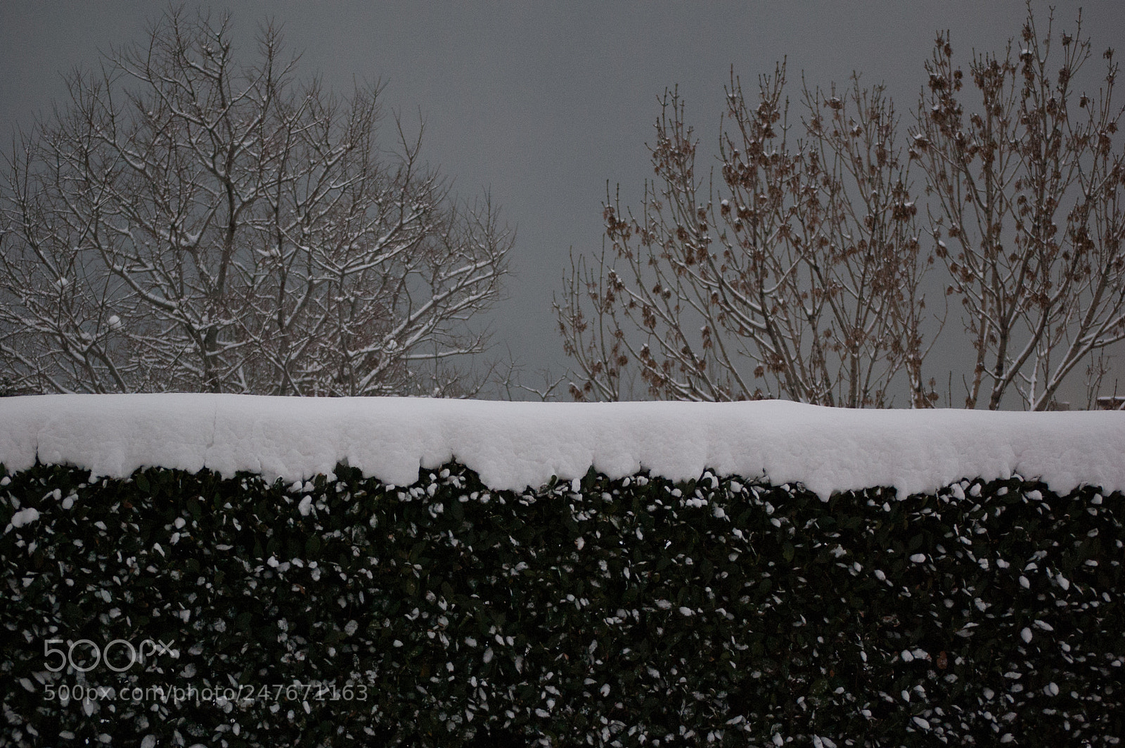 Nikon D40 sample photo. Con il burian, l'inverno photography