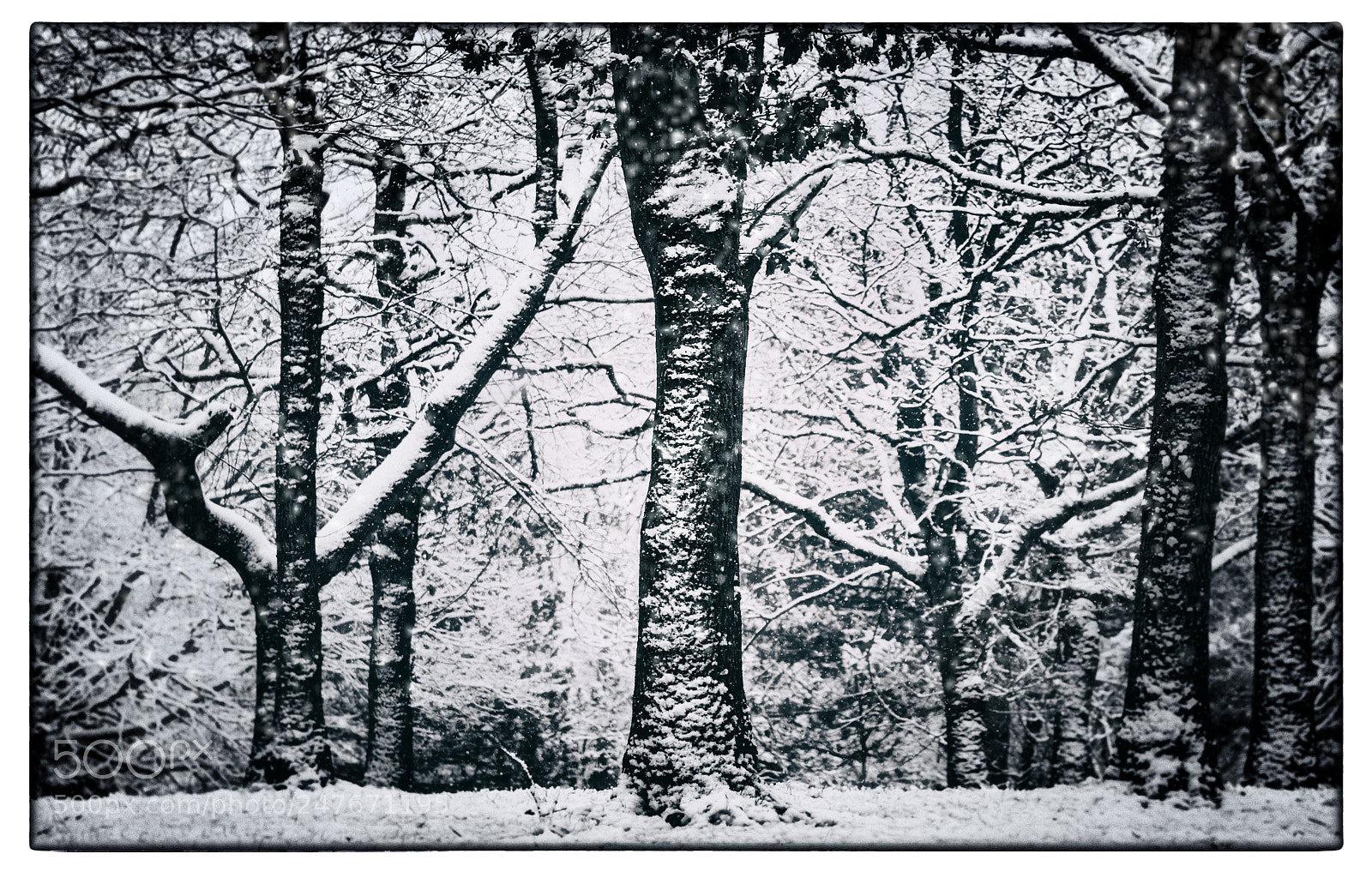 Nikon D7200 sample photo. Runes photography