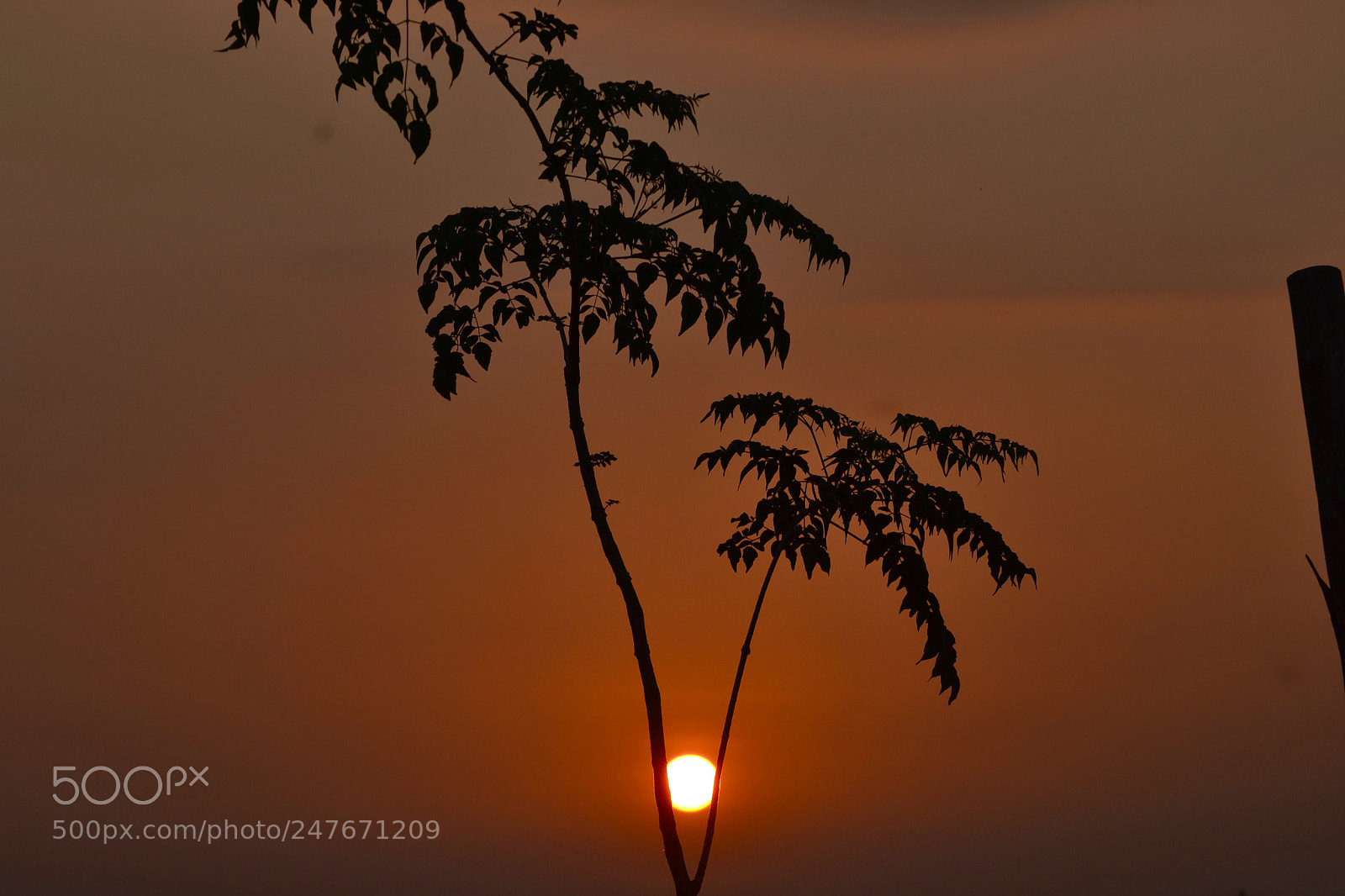 Nikon D3100 sample photo. Beauty of sunrise through photography
