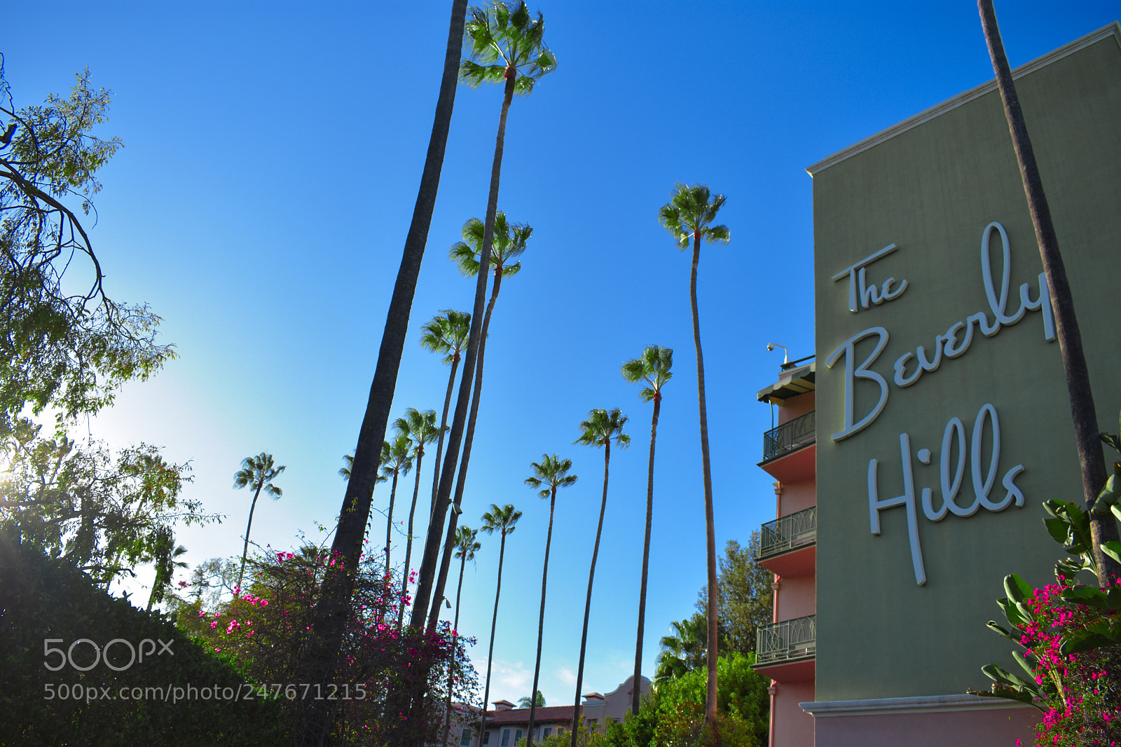Nikon D3400 sample photo. The world famous hotel photography