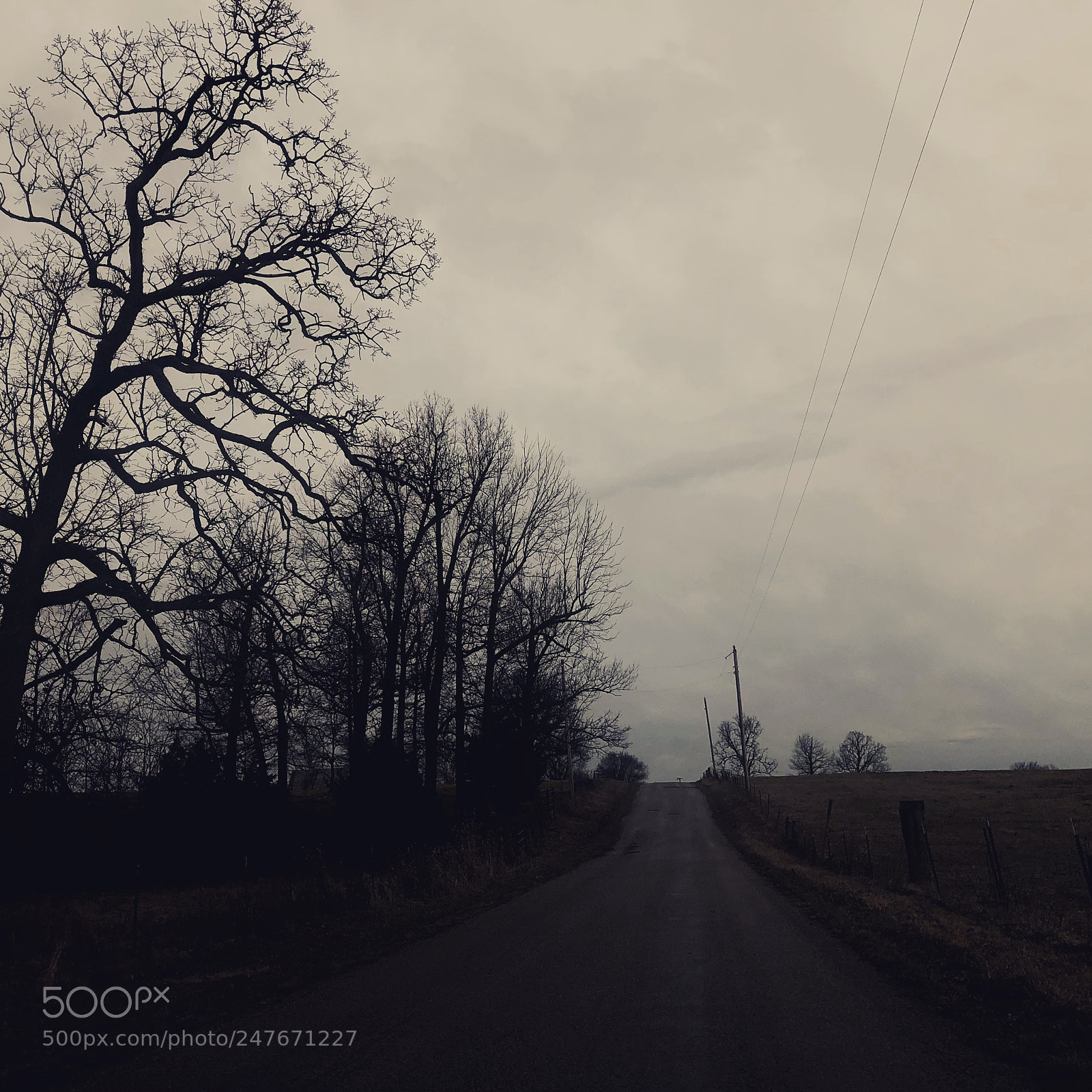 Apple iPhone X sample photo. Silent road  photography