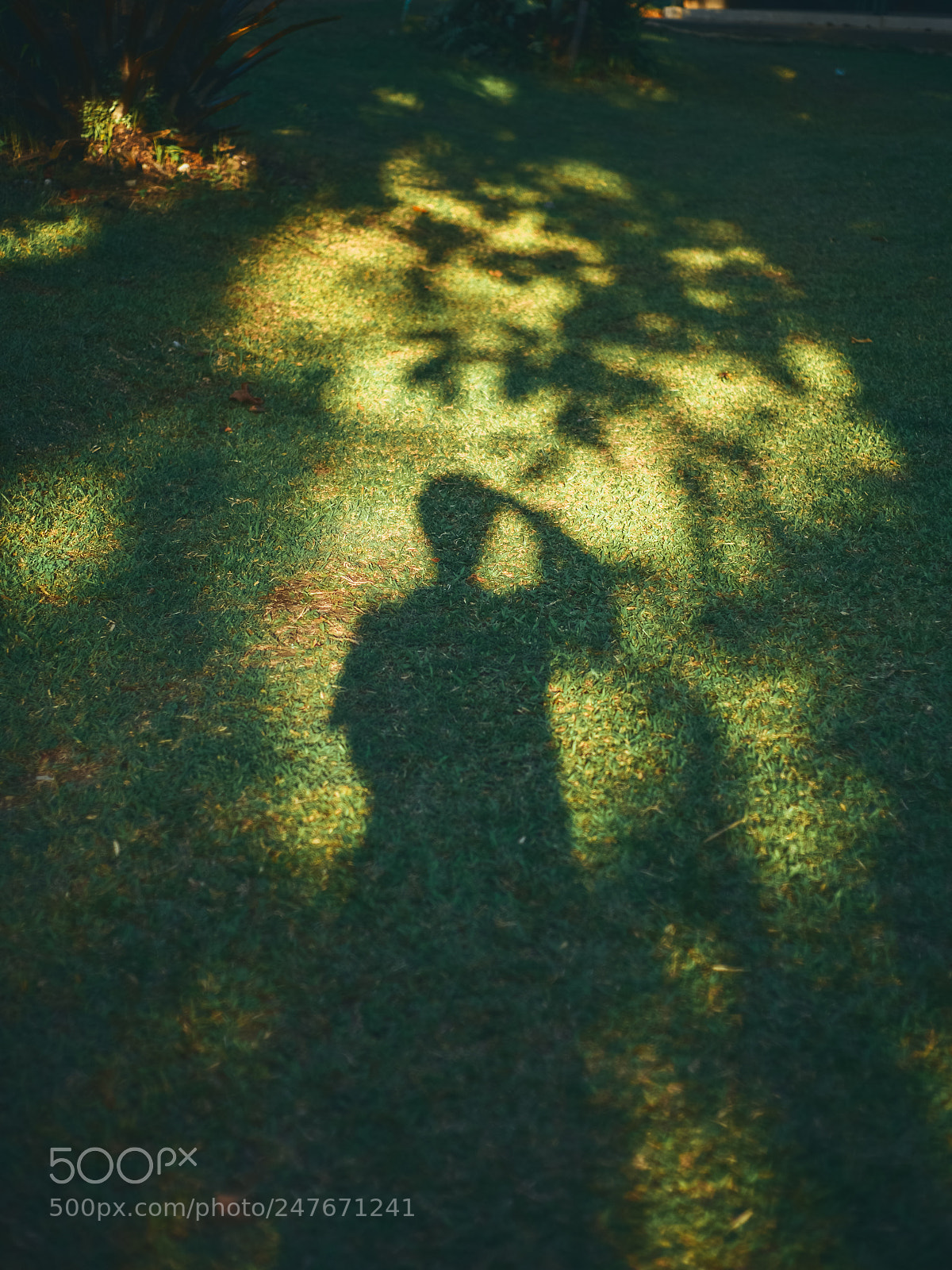 Nikon D610 sample photo. Self portrait photography