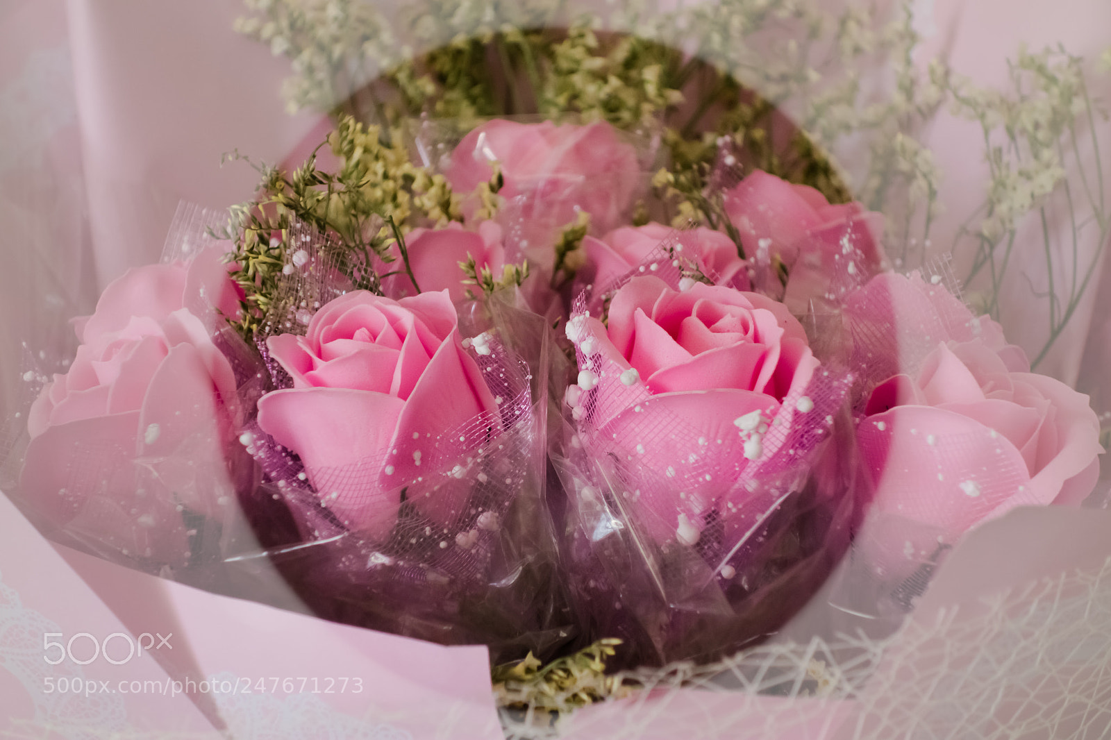 Sony Cyber-shot DSC-RX100 sample photo. Pink roses photography