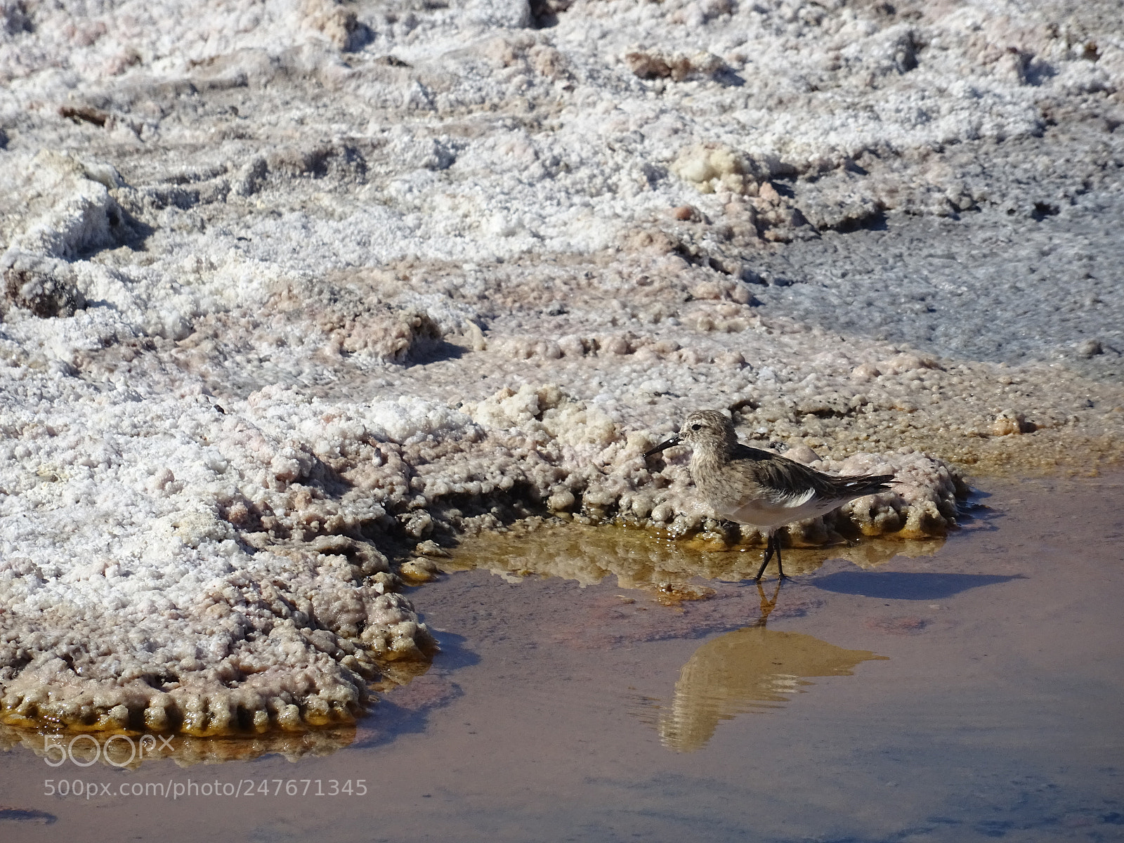 Sony DSC-HX60V sample photo. Reflecting photography