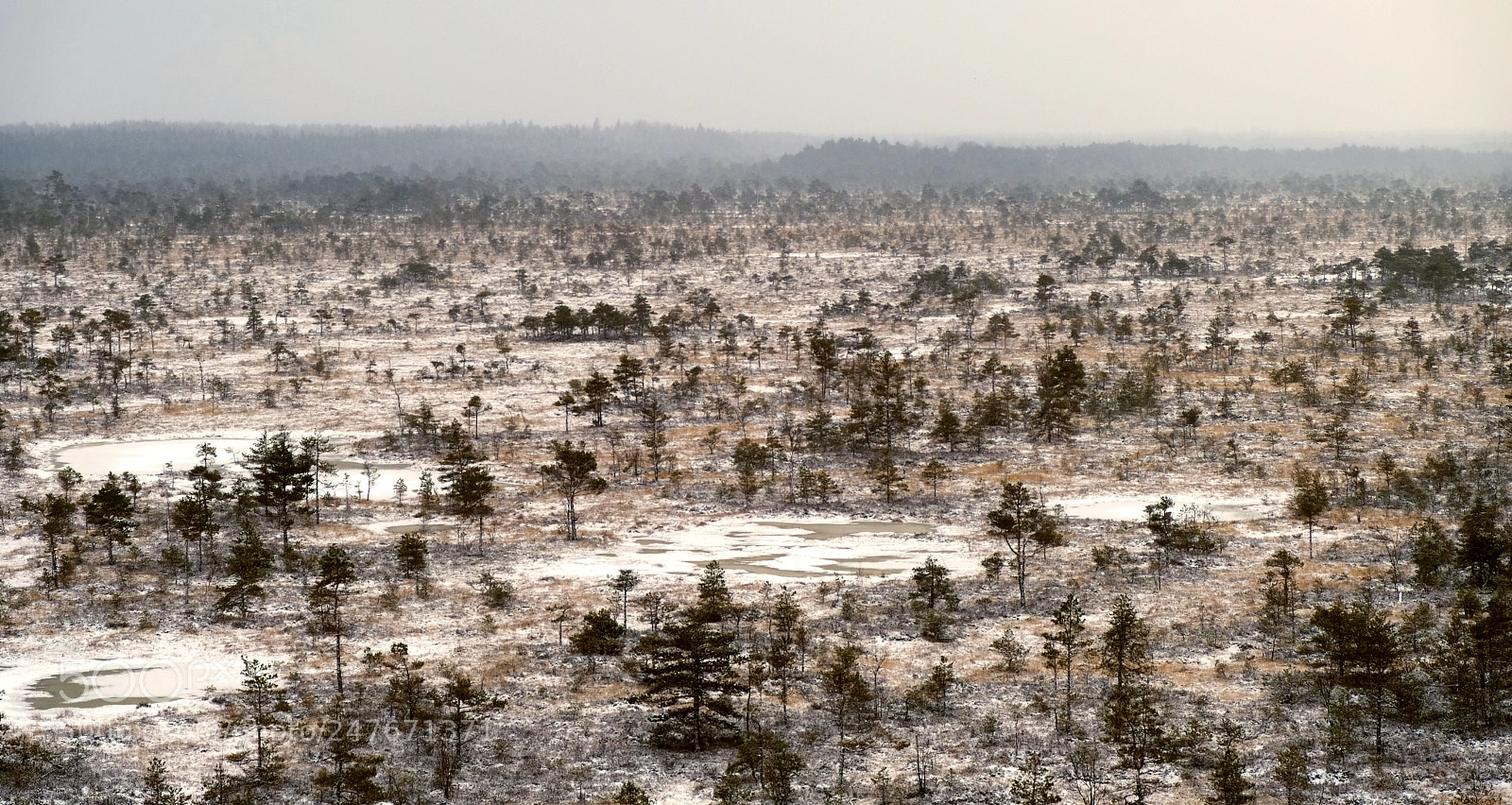Fujifilm X-T2 sample photo. Mukri bog photography