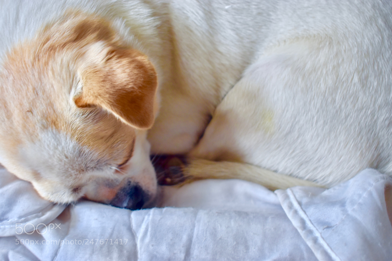 Nikon D5600 sample photo. Silent afternoon photography