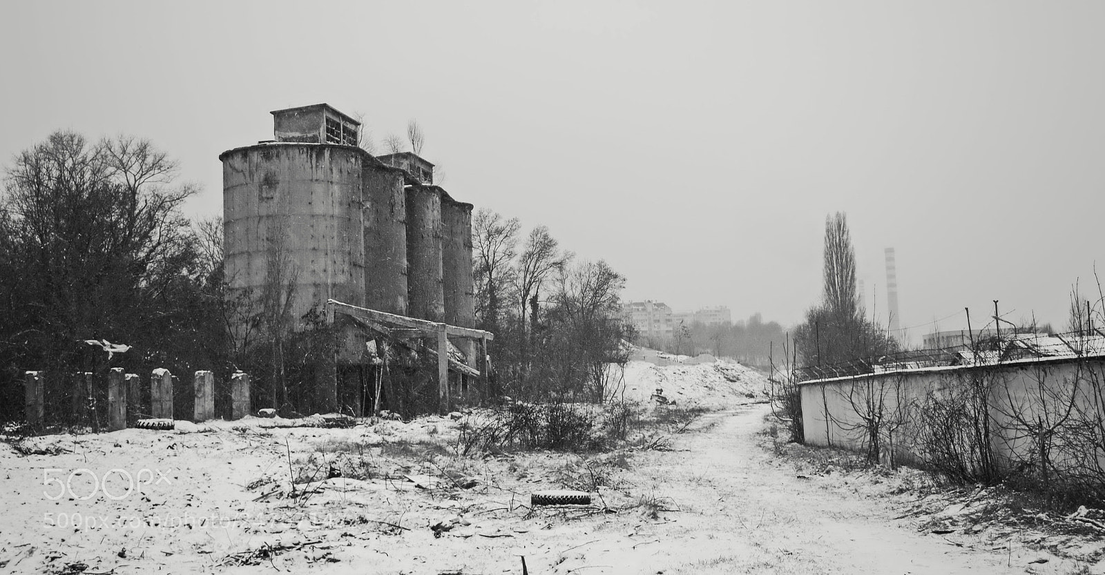 Nikon D3100 sample photo. Lost and alone photography