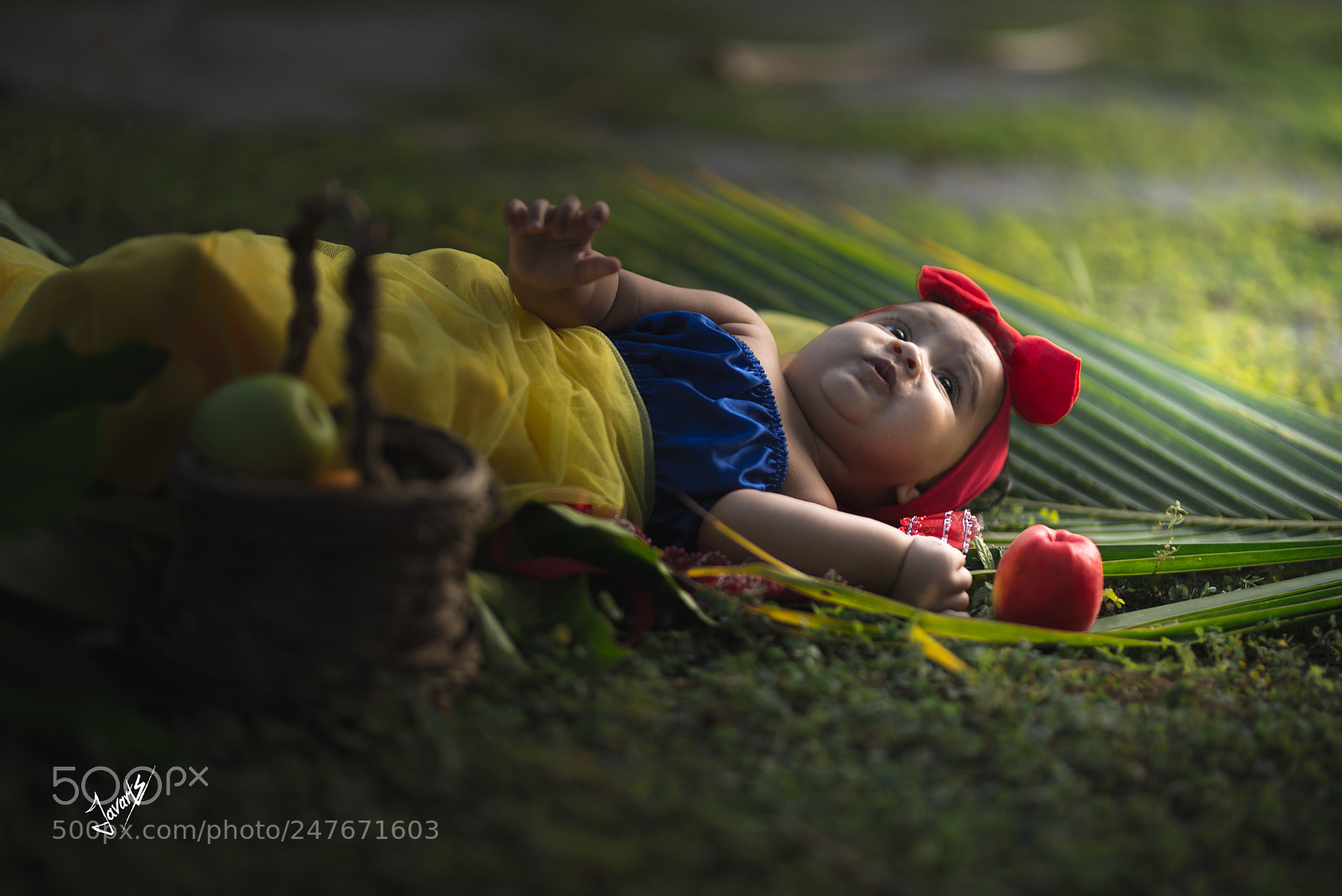Nikon D610 sample photo. Project photography
