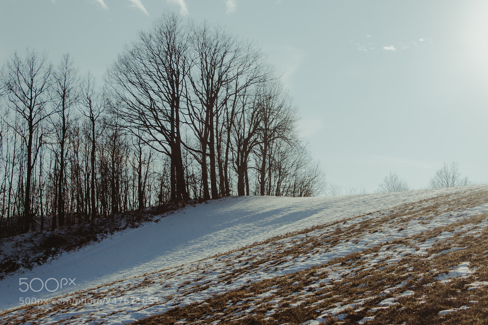 Canon EOS 600D (Rebel EOS T3i / EOS Kiss X5) sample photo. Winter tale photography