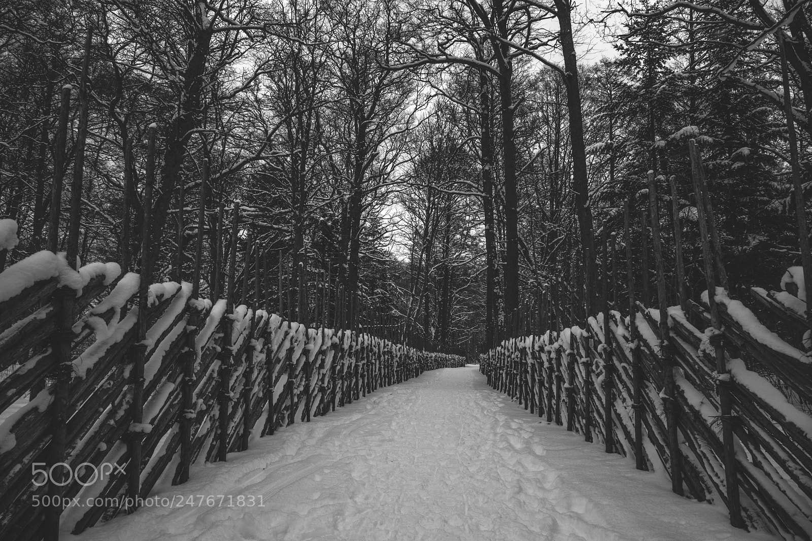 Fujifilm X-T2 sample photo. Path photography