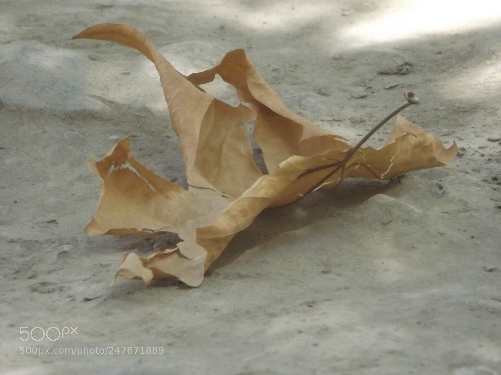 Fujifilm FinePix S4800 sample photo. Zubair ahmad photography photography