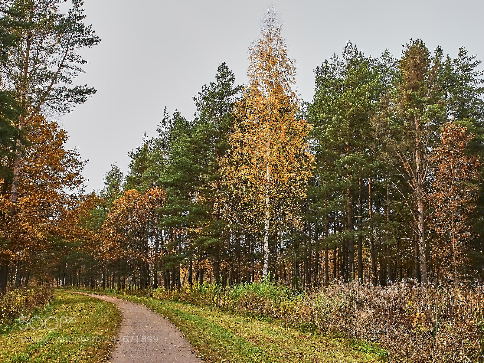 Canon EOS 600D (Rebel EOS T3i / EOS Kiss X5) sample photo. Autumn in alexandria photography
