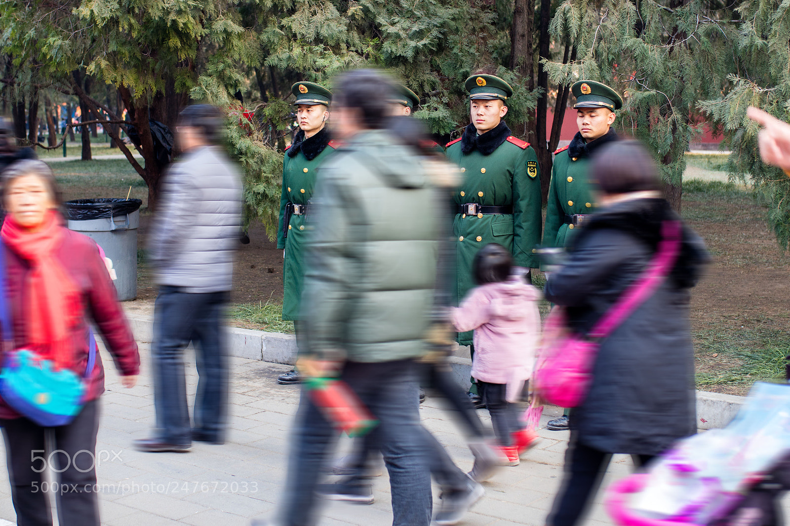 Canon EOS 5DS R sample photo. Security. a sight from photography