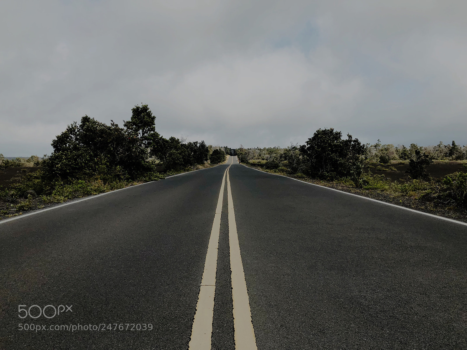 Apple iPhone X sample photo. Hawaiian national volcanoes park photography