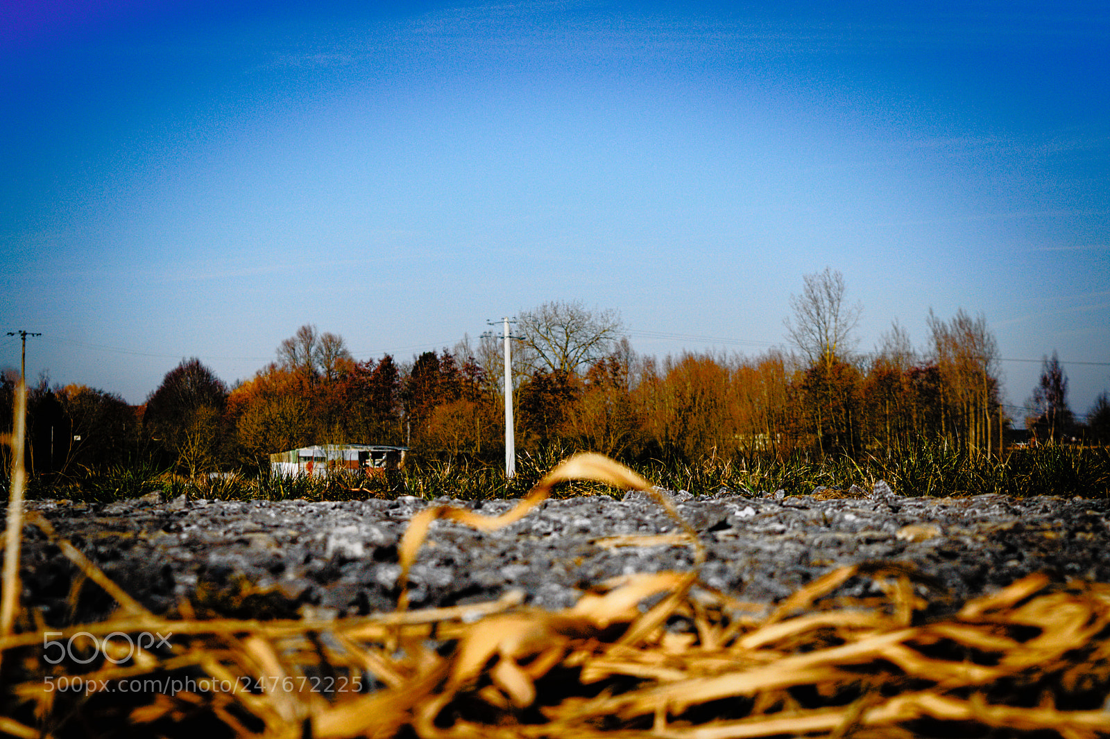 Nikon D3200 sample photo. Winter color photography