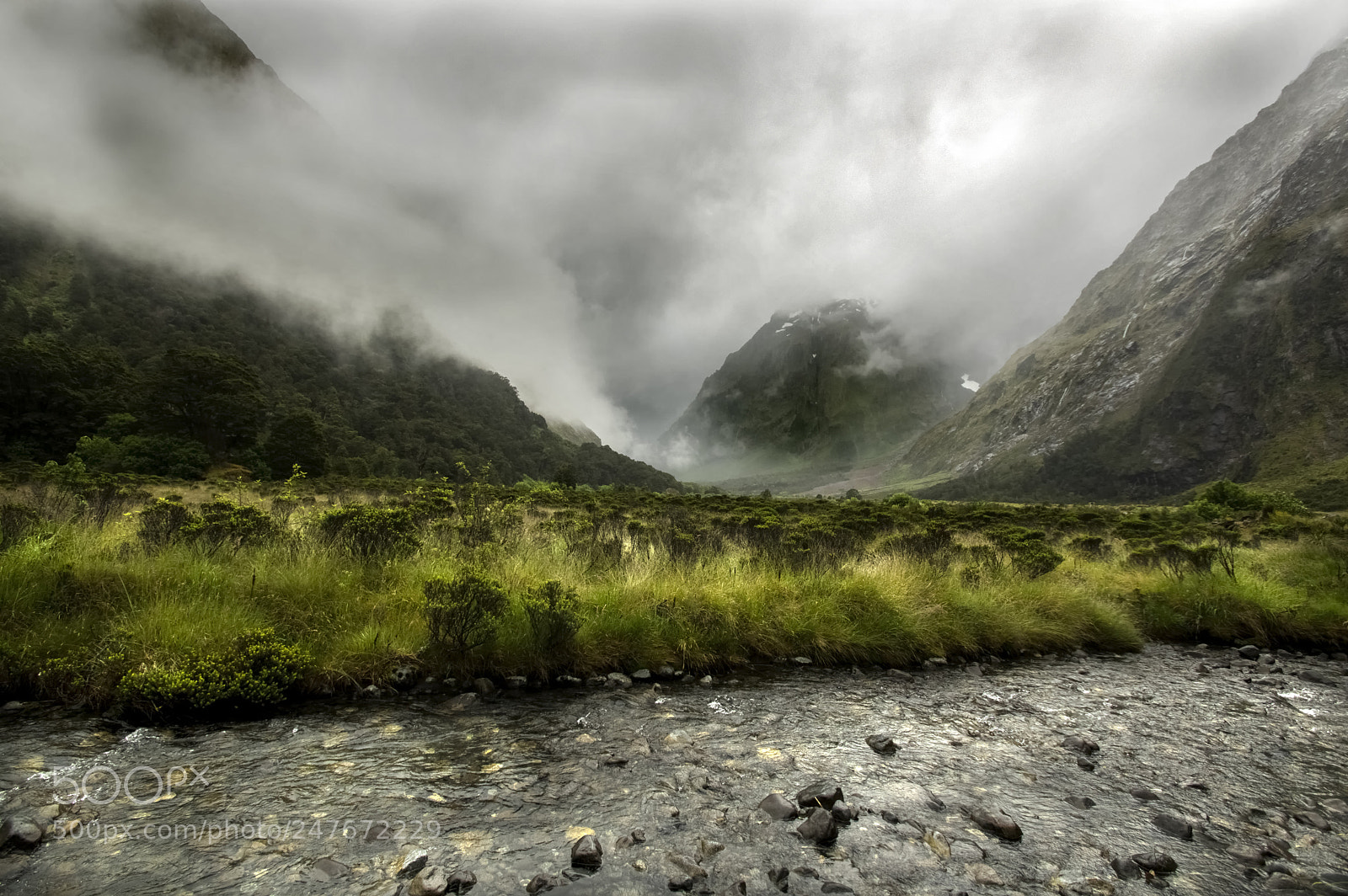 Pentax K-3 II sample photo. Fiordland photography