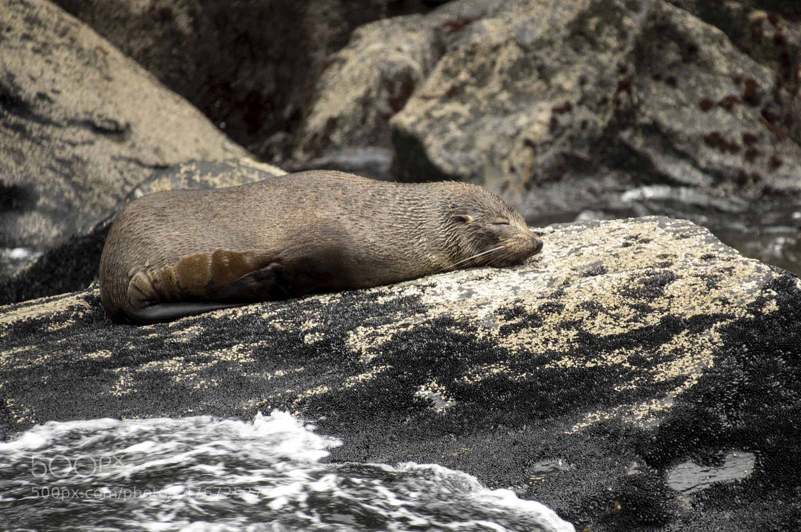 Pentax K-3 II sample photo. Milford sound photography