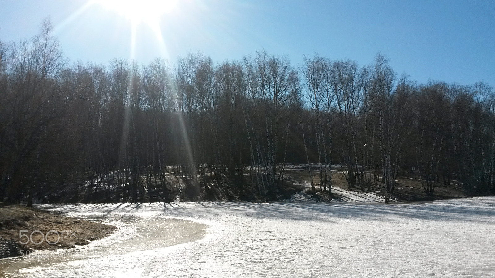 Samsung Galaxy S4 Mini sample photo. Untitled photography