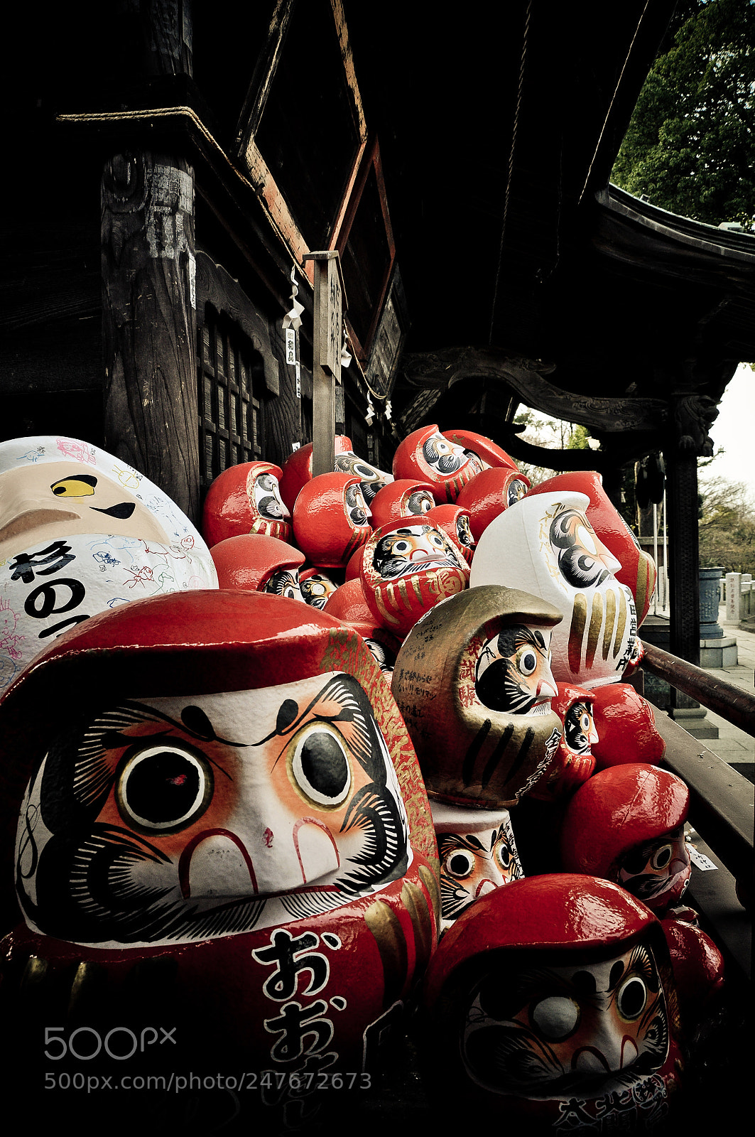 Nikon D90 sample photo. Daruma photography