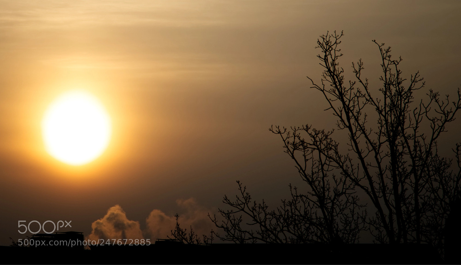 Canon EOS 6D Mark II sample photo. Winter morning sun photography