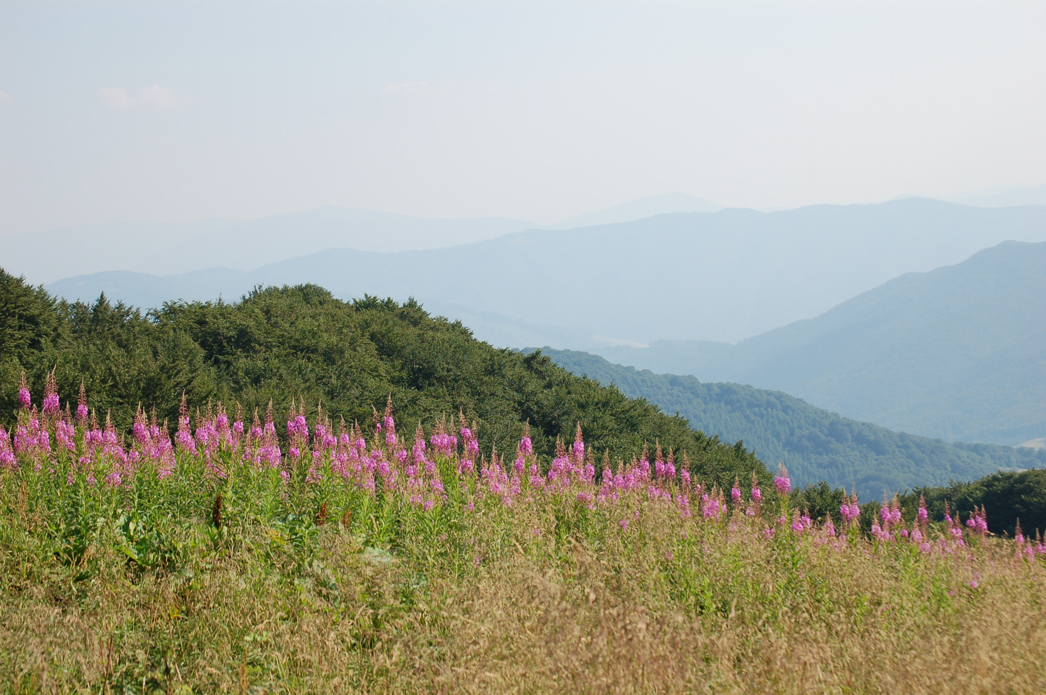 Nikon D50 sample photo. Bieszczady mountains photography