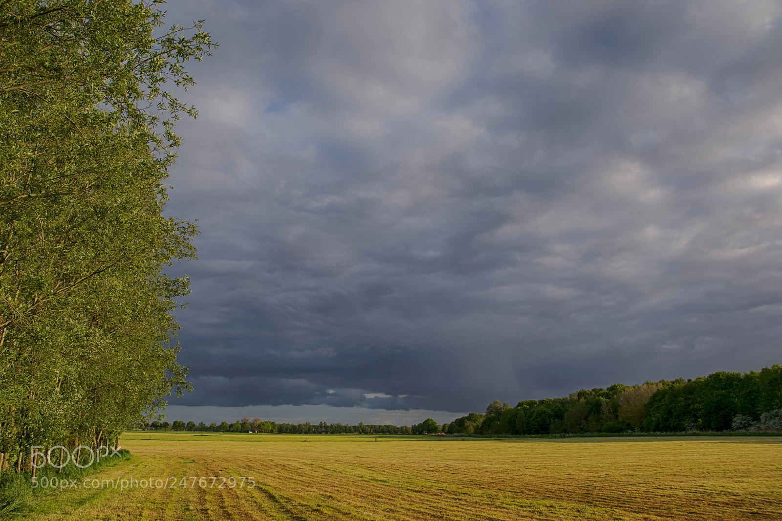 Nikon D3100 sample photo. Landschap photography