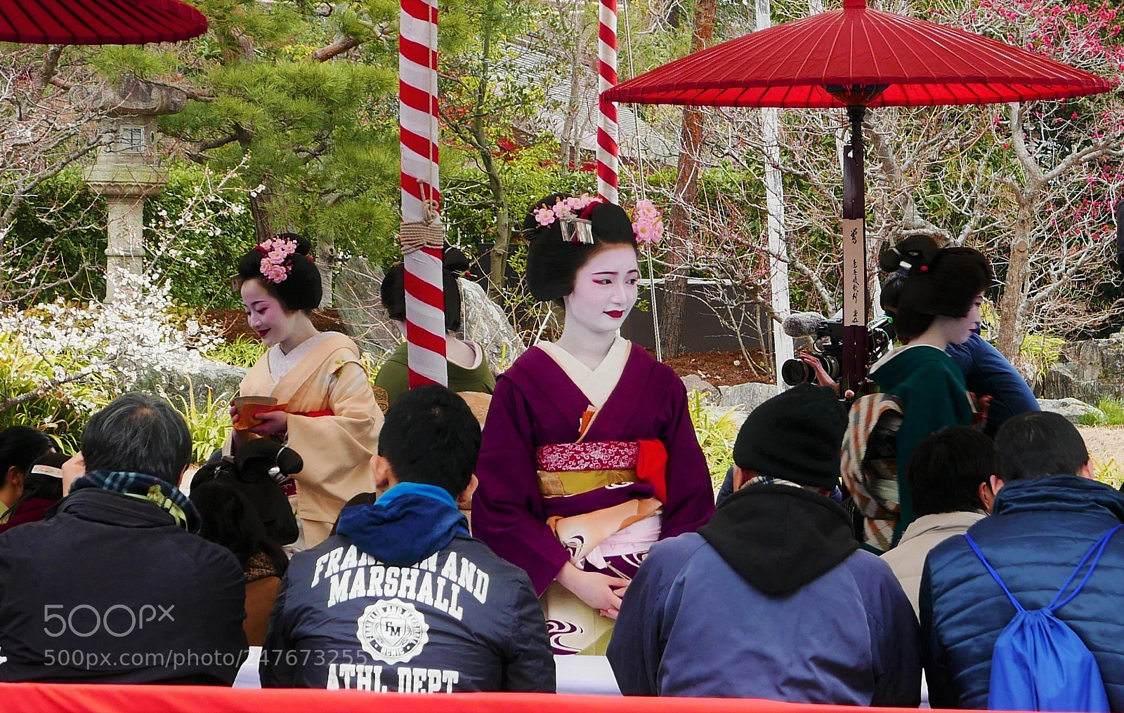 Panasonic Lumix DMC-LX100 sample photo. Plum festival in 2018 photography