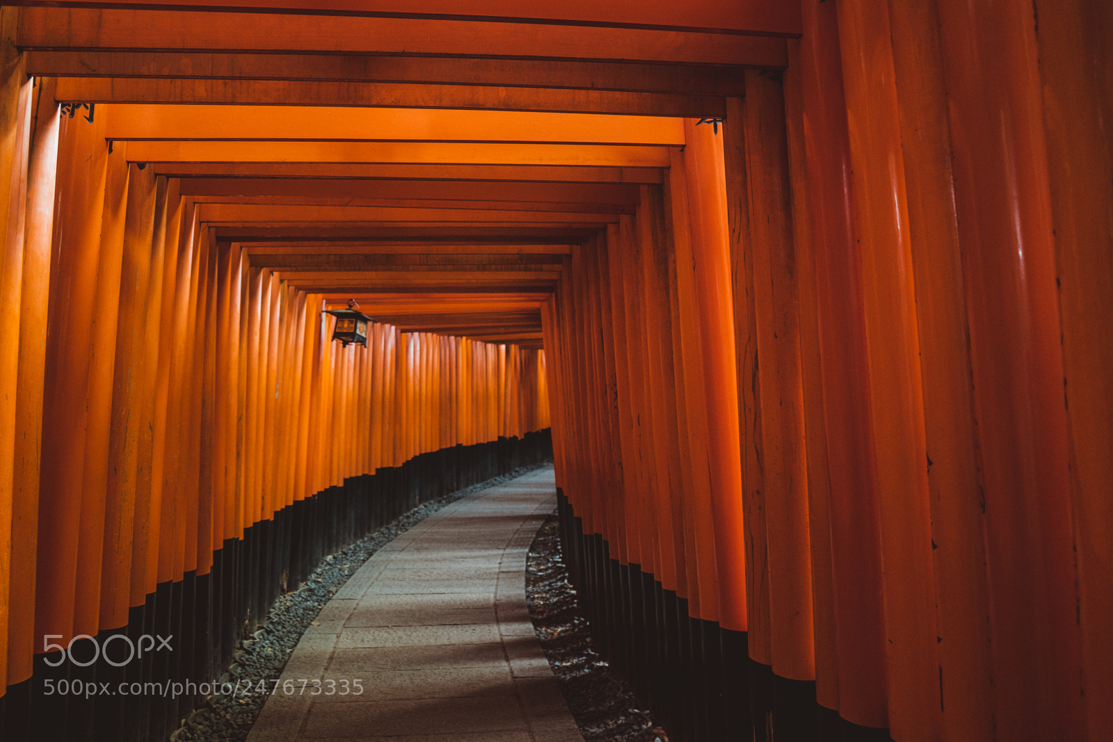 Sony a7 II sample photo. Fushimi inari senbon torii photography