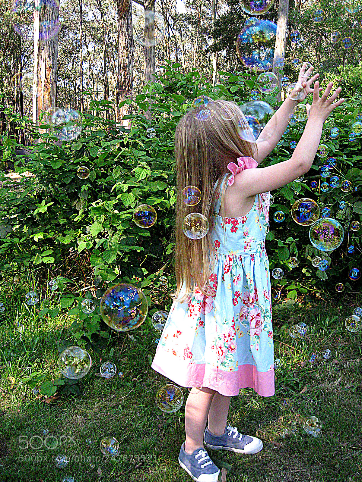 Canon DIGITAL IXUS 960 IS sample photo. Bubble land photography