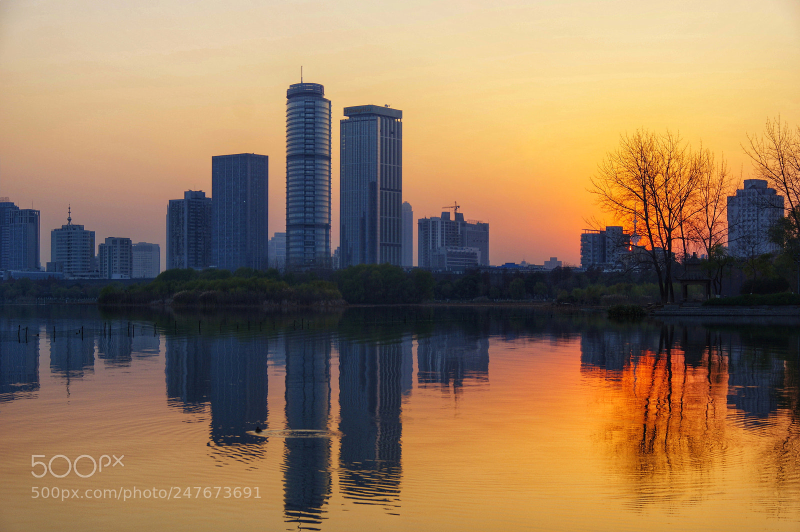 Pentax K-3 II sample photo. Untitled photography