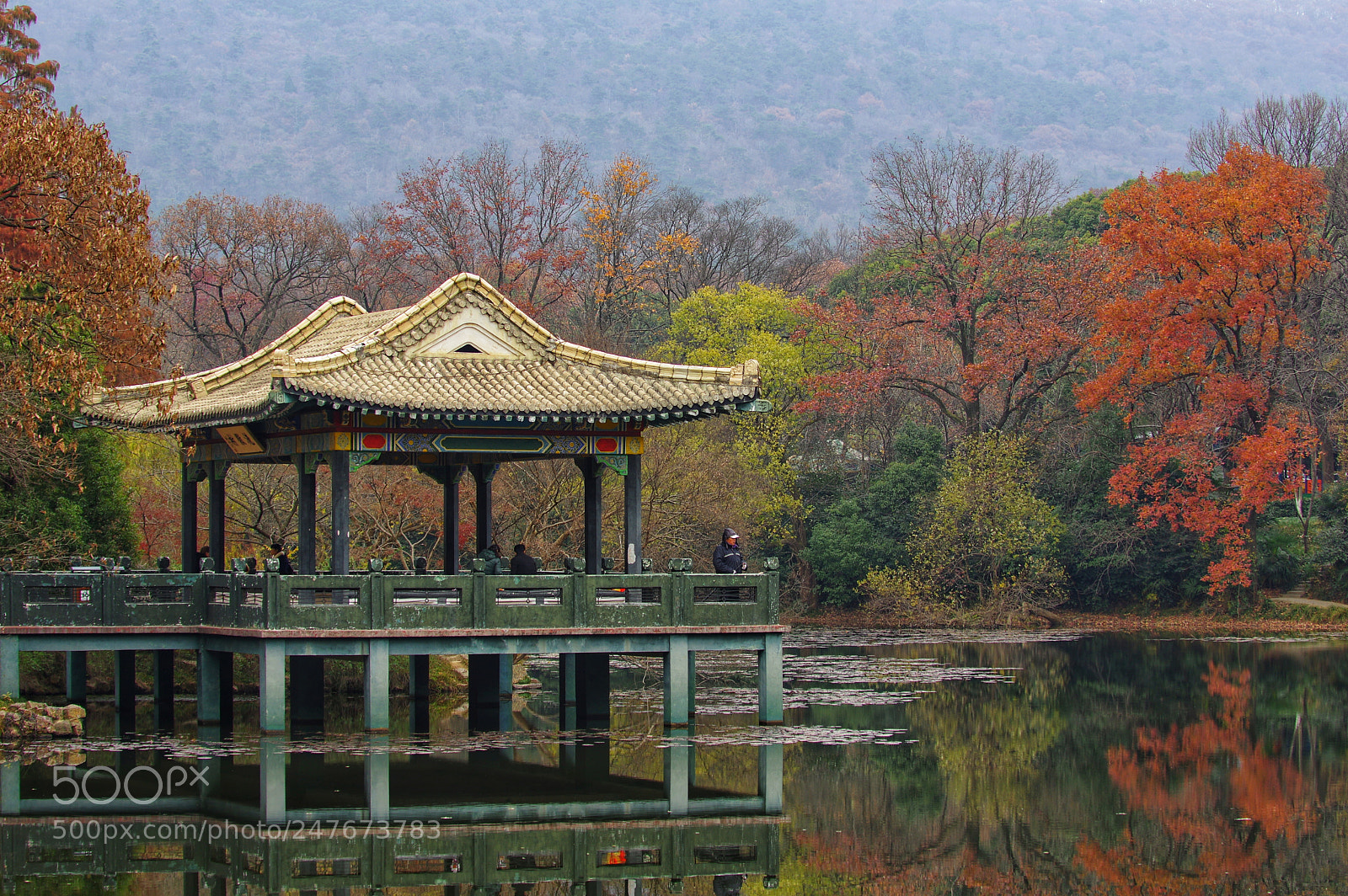 Pentax K-3 II sample photo. Untitled photography