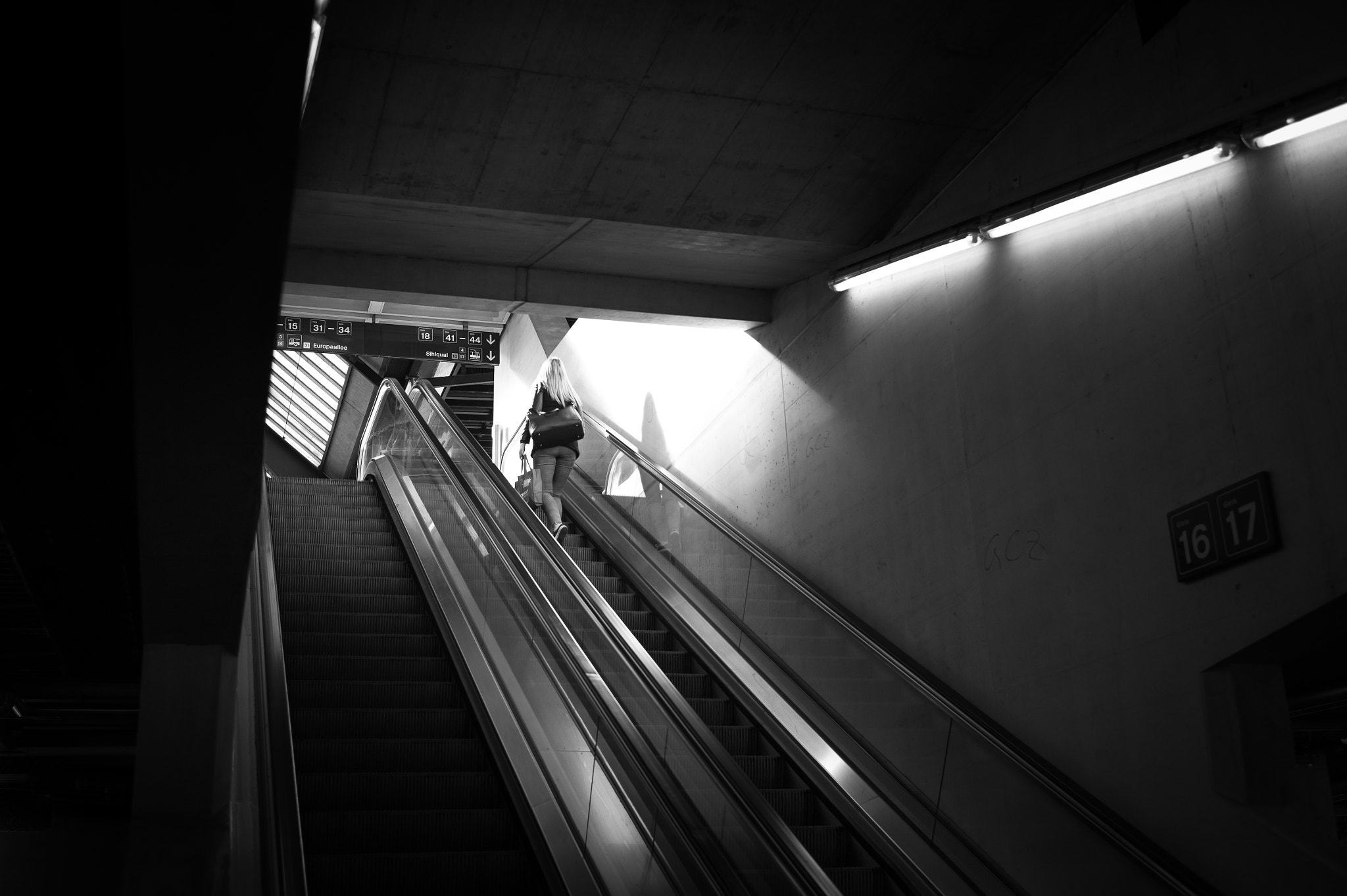 Leica Summilux-M 35mm F1.4 ASPH sample photo. Upwards photography