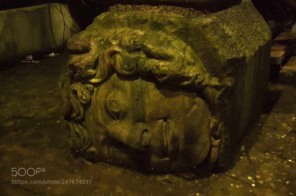 Nikon D40 sample photo. Medusa photography