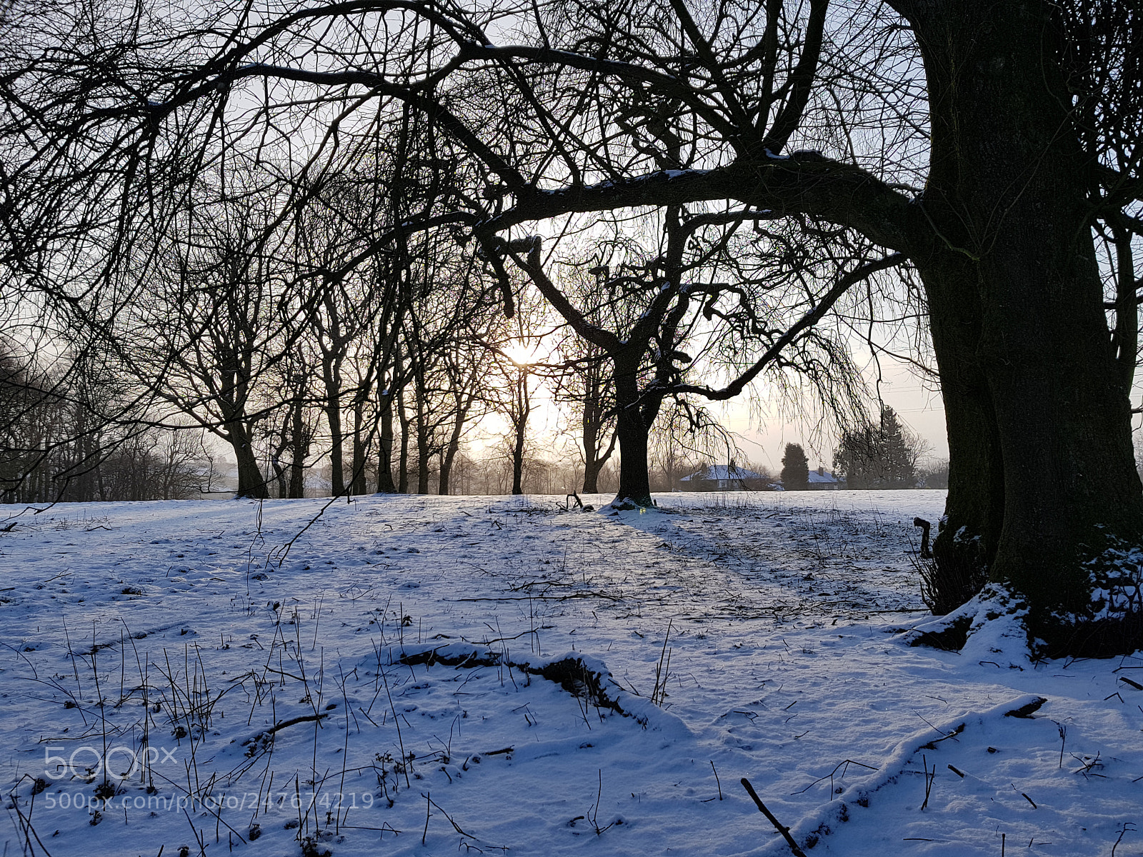 Samsung Galaxy S8+ sample photo. Winter sun photography