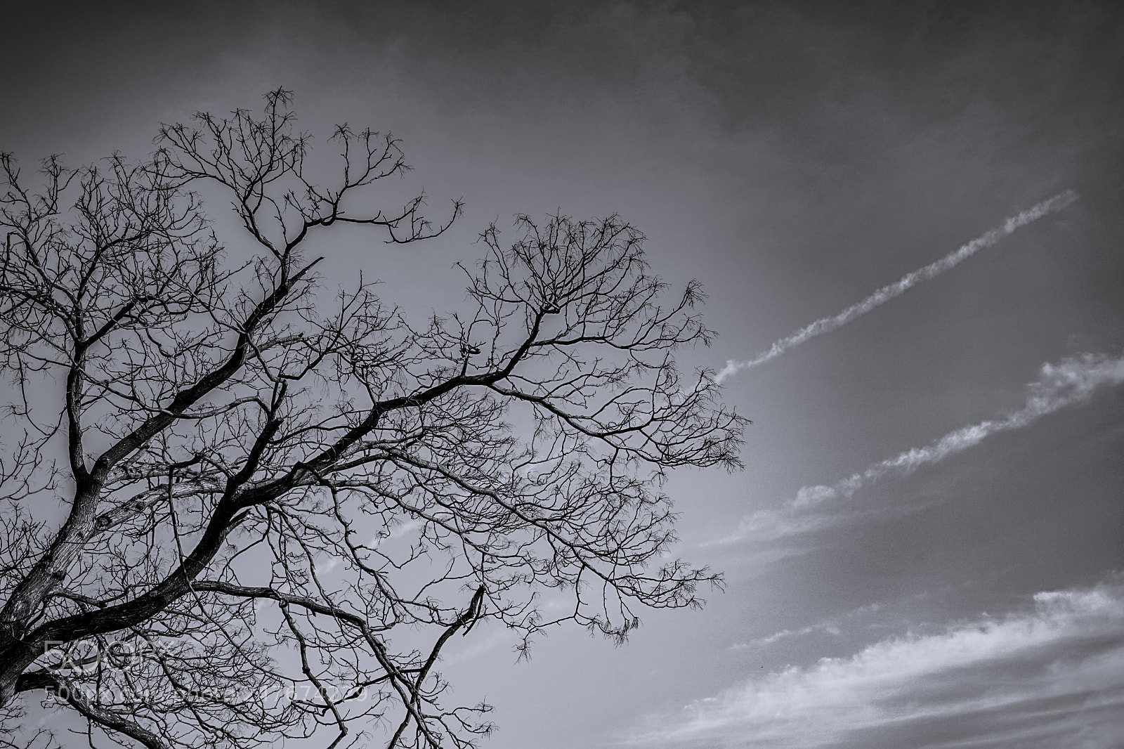 Sony a7 II sample photo. Dsc00487_01.jpg photography
