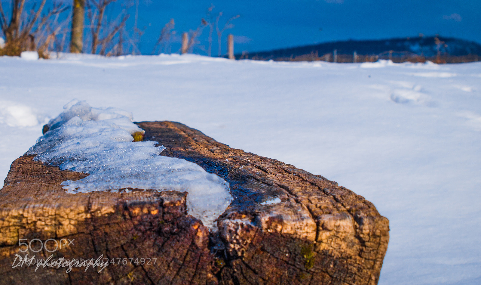 Olympus E-420 (EVOLT E-420) sample photo. Wood photography