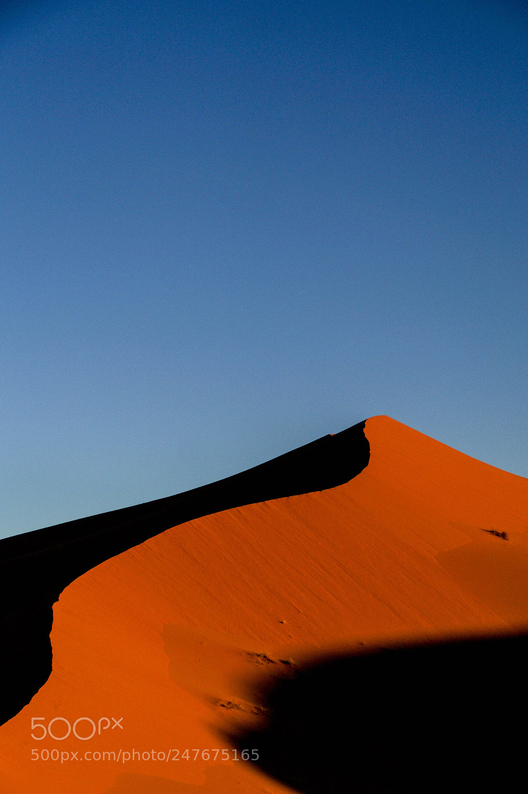 Sony SLT-A58 sample photo. Dunes photography