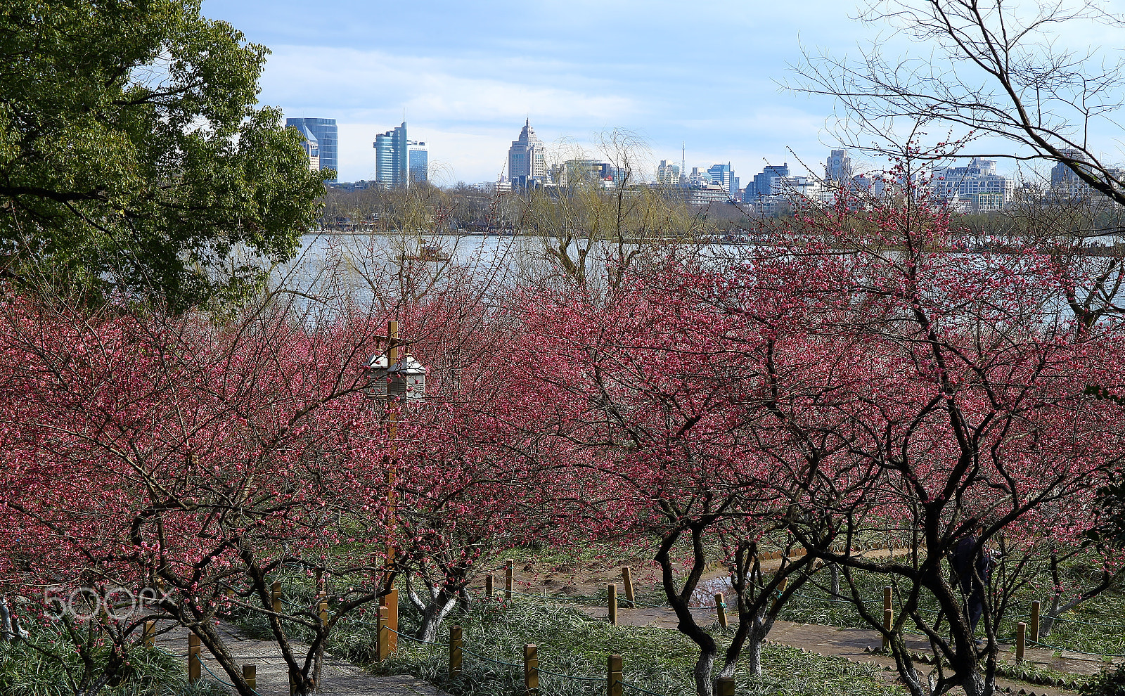 Canon EF 24-70mm F4L IS USM sample photo. 杭州西湖孤山公园 photography