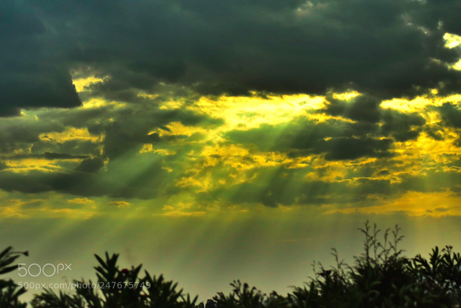 Nikon D7200 sample photo. Evening sunset photography