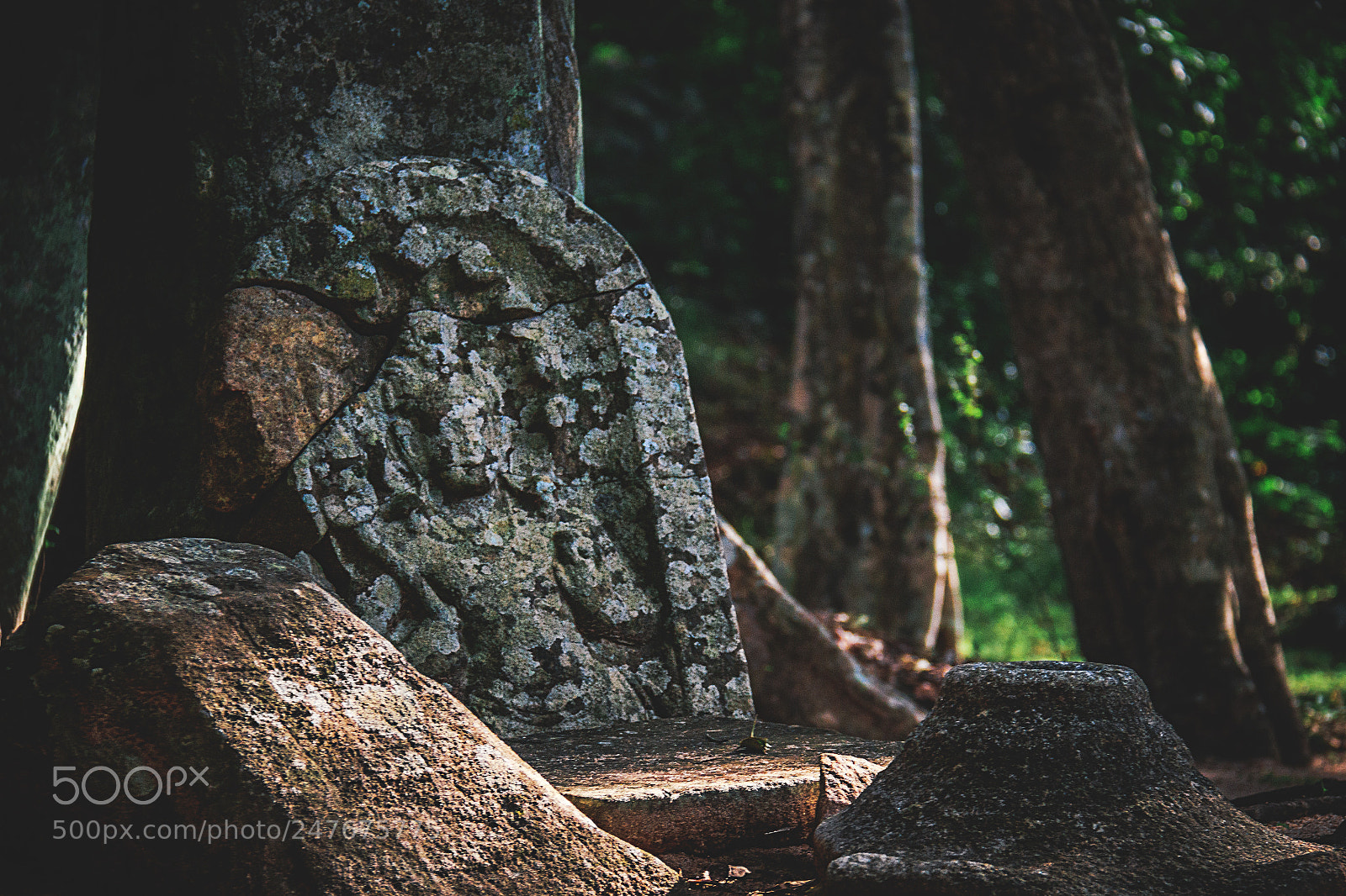 Canon EOS 600D (Rebel EOS T3i / EOS Kiss X5) sample photo. The forgotten temple #27 photography