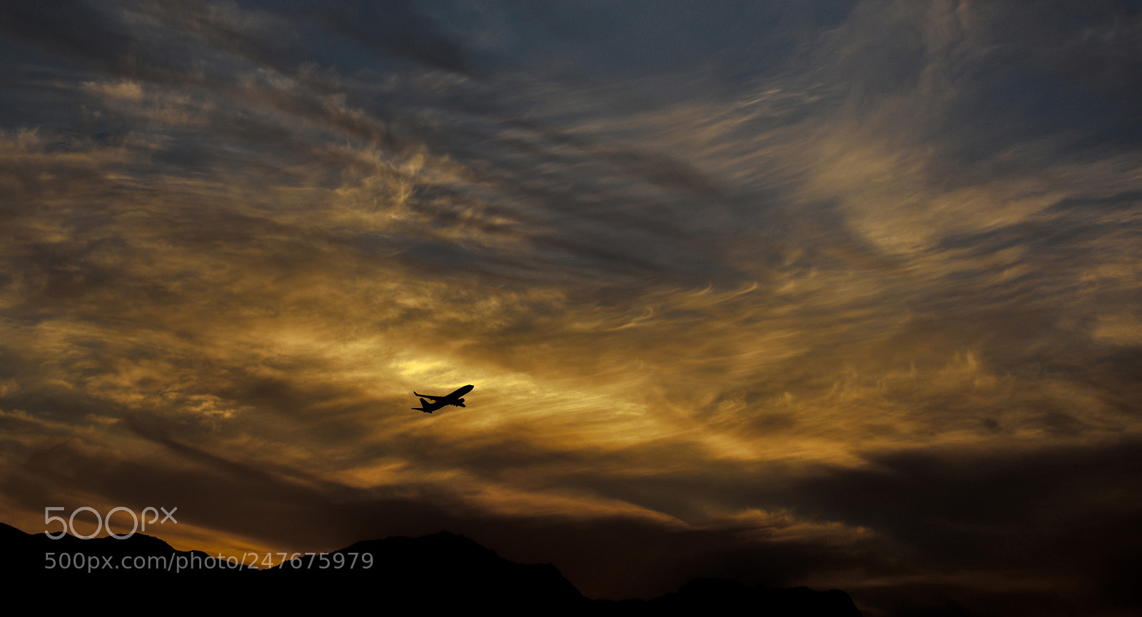 Nikon D7200 sample photo. Untitled photography
