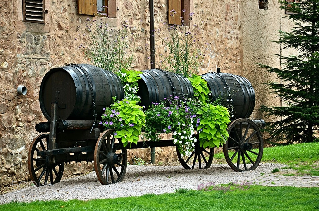 Nikon D5100 sample photo. Alsace (1) photography