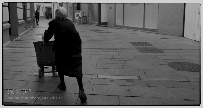 Olympus OM-D E-M1 Mark II sample photo. . photography