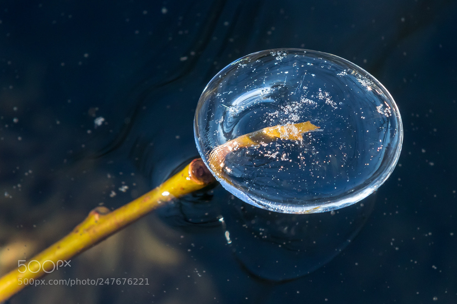 Canon EOS 77D (EOS 9000D / EOS 770D) sample photo. Ice in the air photography