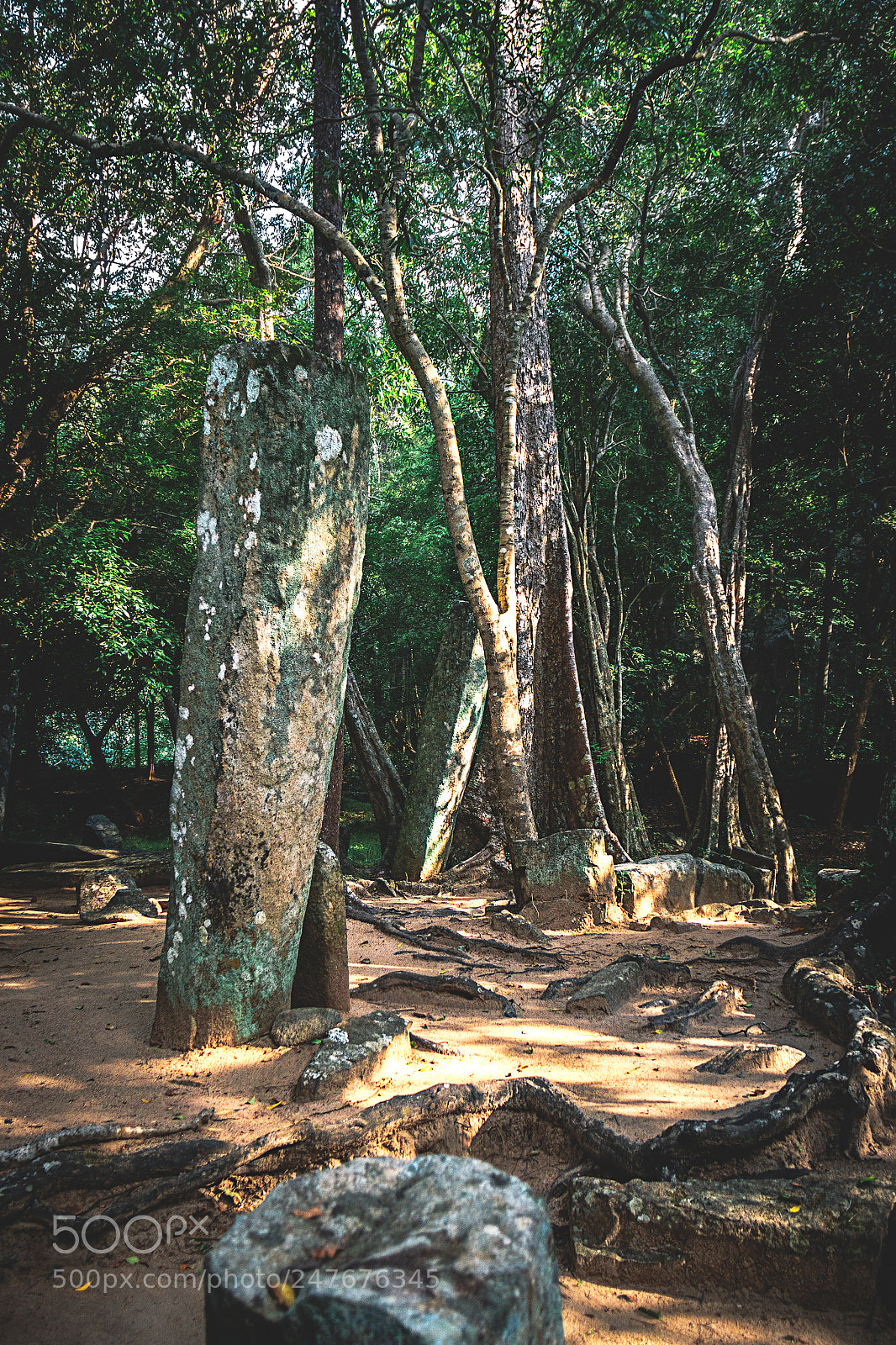 Canon EOS 600D (Rebel EOS T3i / EOS Kiss X5) sample photo. The forgotten temple #28 photography