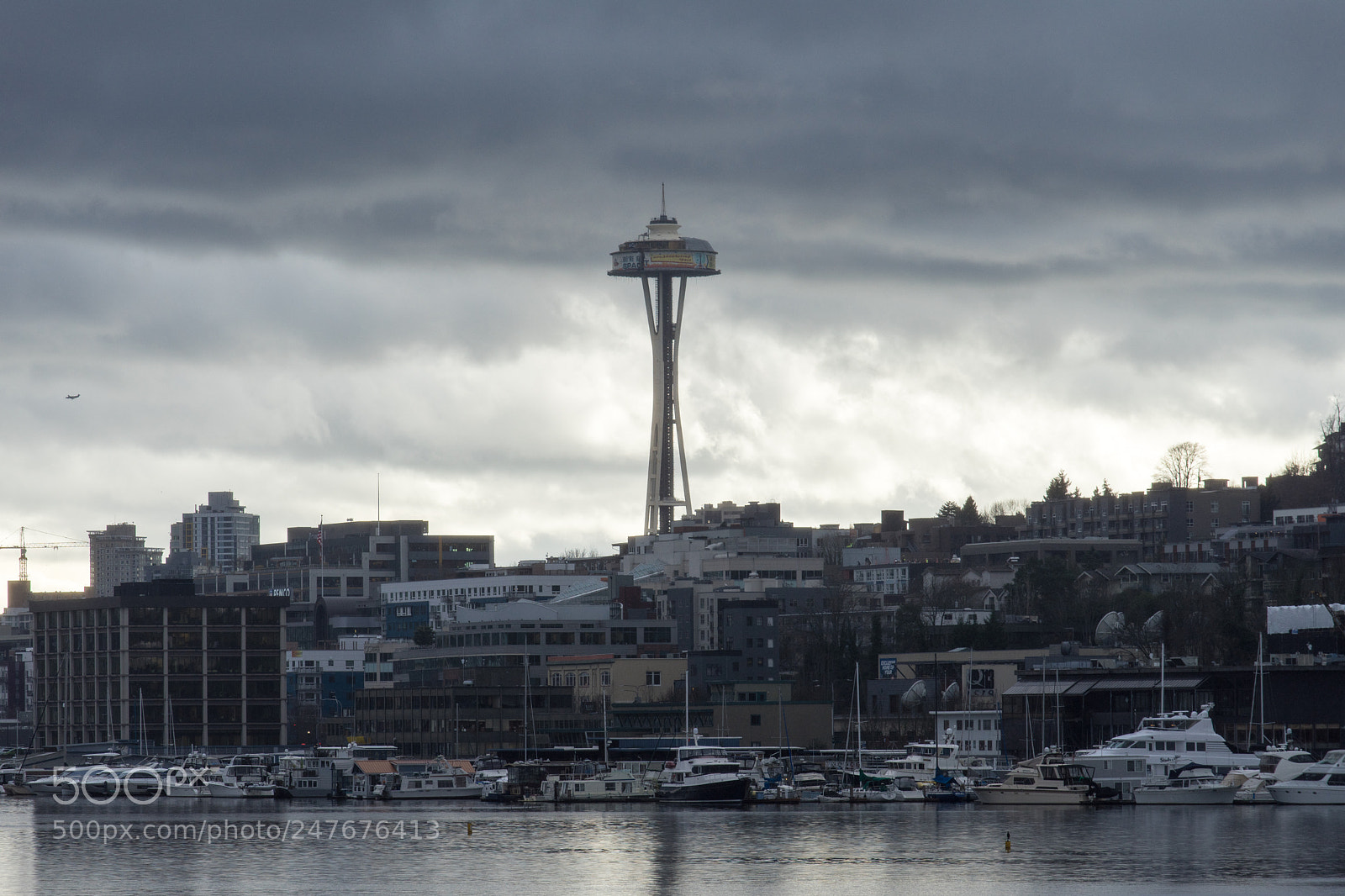 Sony a7 II sample photo. Space needle photography
