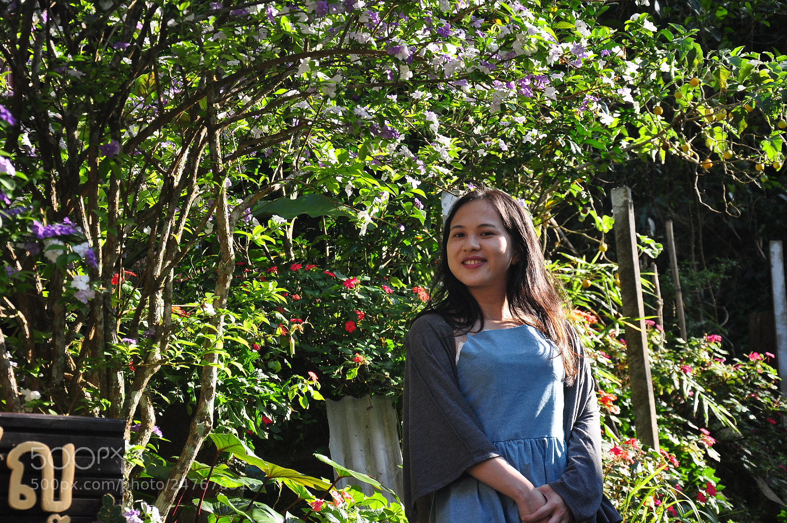 Nikon D90 sample photo. Untitled photography