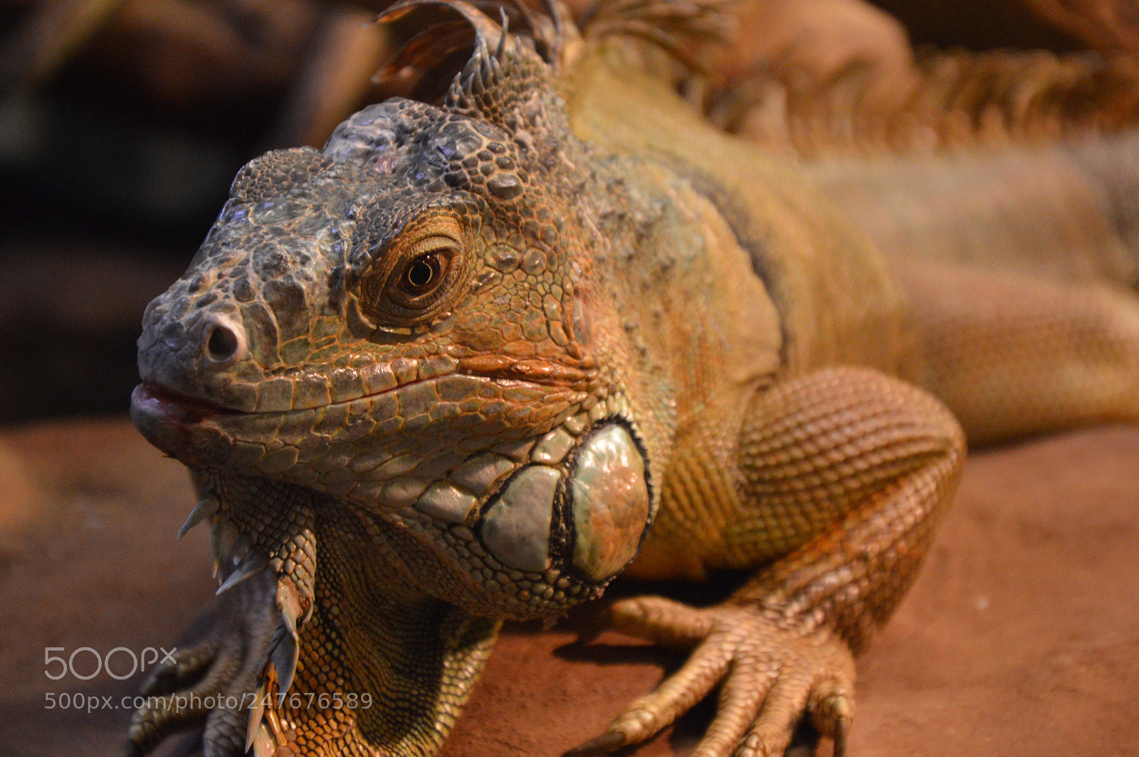 Nikon D3200 sample photo. Untitled photography